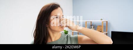 Eine Frau, Die Ihre Nase Vor Schlechtem Geruch Bedeckt Stockfoto