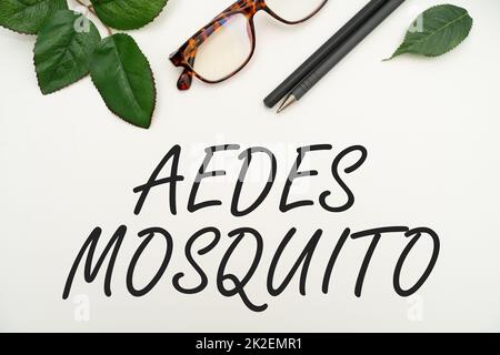 Schrift, die Text zeigt, Aedes Moskitos. Unternehmen präsentieren die Gelbfieber-Moskitos, die Dengue-Fieber-Bürobedarf über den Schreibtisch verbreiten können, mit Tastatur und Brille und Kaffeetasse zum Arbeiten Stockfoto