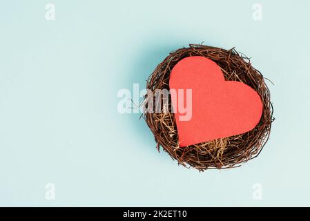 Rotes Herz in einem Nest auf blauem Hintergrund, leerer Platz für Text, Grußkarte Stockfoto