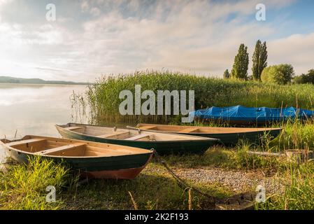 Fischerboote am Ufer des Bodensees im Morgenlicht, Insel Reichenau, Baden-Württemberg, Deutschland Stockfoto