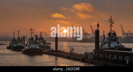 Pier für Schlepper im Hamburger Hafen Stockfoto