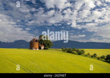 Windmühle in Chvalkovice, Südmähren, Tschechische Republik Stockfoto