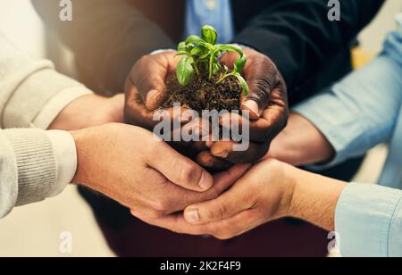 Du hast irgendwo zu beginnen. Ein kurzer Schuss einer Gruppe von Geschäftsleuten, die Pflanzen halten, die aus dem Boden wachsen. Stockfoto