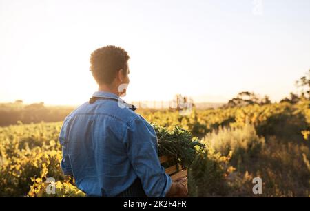 Sein Tag beginnt, bevor die Sonne sogar aufgegangen ist. Ausgeschnittene Aufnahme eines jungen Mannes, der auf einem Bauernhof arbeitet. Stockfoto