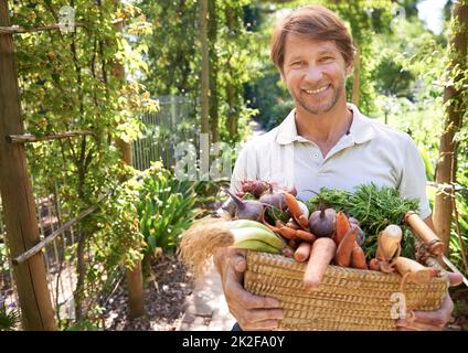 Hält eine Armvoll organischer Güte. Ein reifer Mann, der einen Korb mit Bio-Gemüse hält. Stockfoto