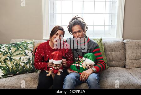 Sogar unsere Hunde sind in Weihnachtsstimmung. Porträt eines fröhlichen jungen Paares, das seine Hunde hält, während es zu hause während der weihnachtszeit auf einem Sofa sitzt. Stockfoto