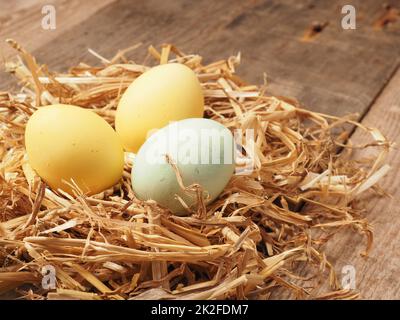 Mit natürlichen Farbstoffen selbstgefärbte Bio-Eier in einem Strohnest Stockfoto