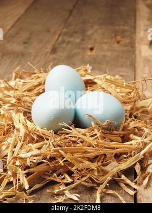 Mit natürlichen Farbstoffen selbstgefärbte Bio-Eier in einem Strohnest Stockfoto