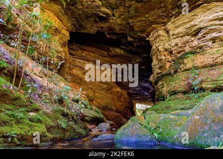 Regenwald Höhle Innenraum mit kleinem Fluss und See Stockfoto