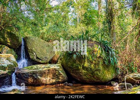 Wasserfall inmitten der Regenwaldvegetation der Insel Ilhabela Stockfoto