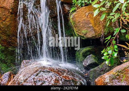 Kleiner Wasserfall zwischen moosigen Steinen Stockfoto