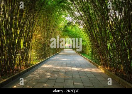 Wangjianglou Park. Chengdu, Sichuan, China Stockfoto