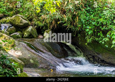 Kaskaden und moosartige Felsen inmitten der Vegetation des tropischen Waldes in seinem natürlichen Zustand Stockfoto