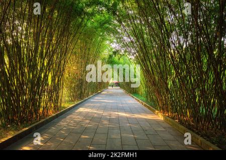 Wangjianglou Park. Chengdu, Sichuan, China Stockfoto