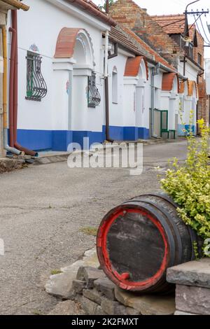 Terezin Weinkeller, Südmähren, Tschechische Republik Stockfoto