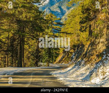 Leerer Highway, Olympus Mount National Park Stockfoto