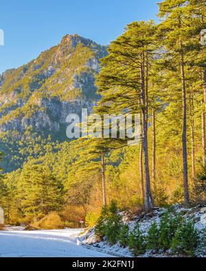 Leerer Highway, Olympus Mount National Park Stockfoto