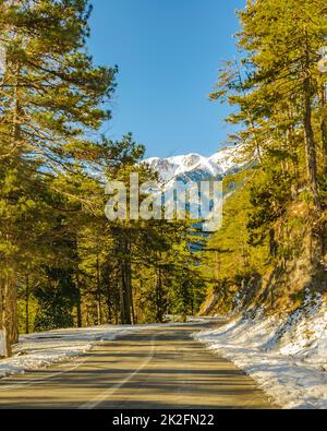 Leerer Highway, Olympus Mount National Park Stockfoto
