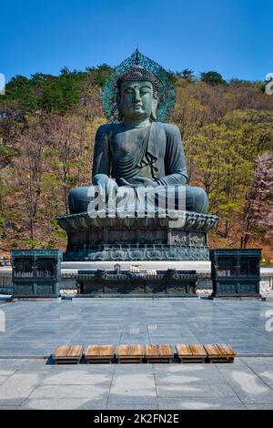 Buddha Tongil Daebul-Statue der Großen Vereinigung im Seoraksan-Nationalpark, Südkorea. Stockfoto