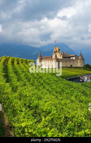 Schloss Chateau d'Aigle im Kanton Waadt, Schweiz Stockfoto