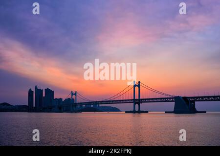 Gwangan Brücke auf den Sonnenaufgang. Busan, Südkorea Stockfoto
