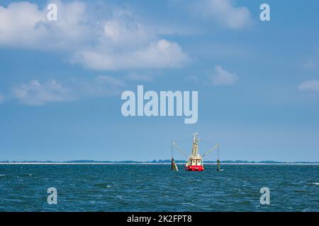 Garnelenboot auf der Nordsee in der Nähe der Insel Pellworm, Deutschland Stockfoto