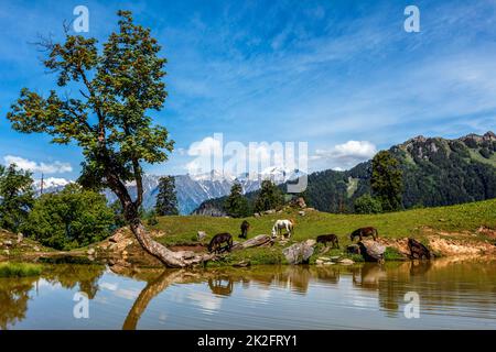 Indische Himalaya-Landschaft im Himalaya Stockfoto