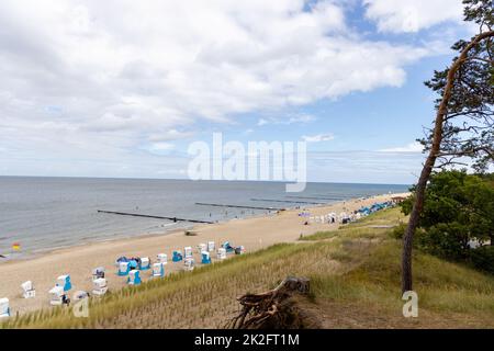 Der Blick auf den Strand von Zempin auf der Insel Usedom mit vielen Liegen Stockfoto