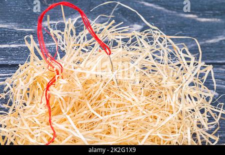 Nadel im Heuhaufen Stockfoto