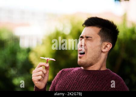 Heuschnupfen. Ausgeschnittene Aufnahme eines jungen Mannes, der niest, nachdem er eine Blume riecht. Stockfoto