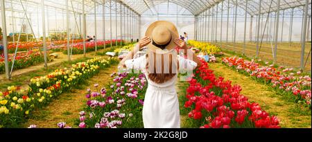 Mädchen, die im Frühling zwischen bunten Tulpen im Gewächshaus spazieren. Bannerausgabe. Stockfoto