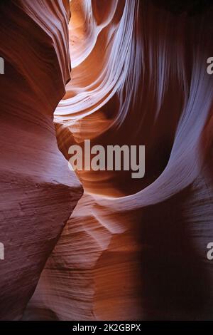 Slot Vertical - Secret Antelope Canyon, Arizona Stockfoto