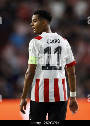 EINDHOVEN - Cody Gakpo vom PSV Eindhoven während des UEFA Champions League-Play-off-Spiels zwischen PSV Eindhoven und dem Rangers FC am 24. August 2022 im Phillips Stadium in Eindhoven, Niederlande. ANP | Dutch Höhe | Maurice van Steen Stockfoto