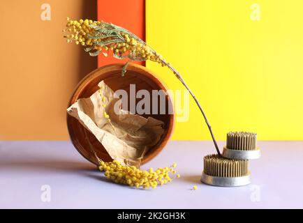 Schale mit Papier, Mimosenblüten und Kenzanen für Ikebana auf farbigem Hintergrund Stockfoto