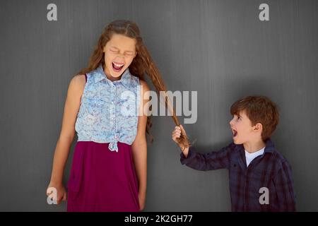 Es ist genau das, was kleine Brüder tun. Studioaufnahme eines Jungen, der seine Schwestern an den Haaren zieht, während er vor einem grauen Hintergrund steht. Stockfoto