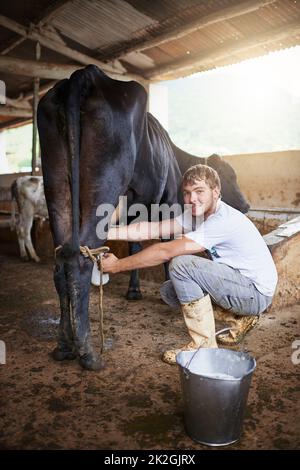 Woher kam Ihrer Meinung nach Milch? Ganzkörperportrait eines jungen Mannes, der eine Kuh im Stall melkt. Stockfoto