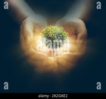 HumEnvironment Konzeptbild Stockfoto