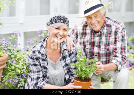 Frische Luft und natürliche Schönheit hält uns jung. Ein glückliches Seniorenpaar beschäftigt Gartenarbeit in ihrem Hinterhof. Stockfoto