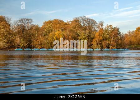 Ruhigen See Oberfläche, nur kleine Wellen, Reihe der Blauen Boote, Möwen auf ihnen sitzen, Herbst bunte Bäume und Himmel im Hintergrund. Stockfoto