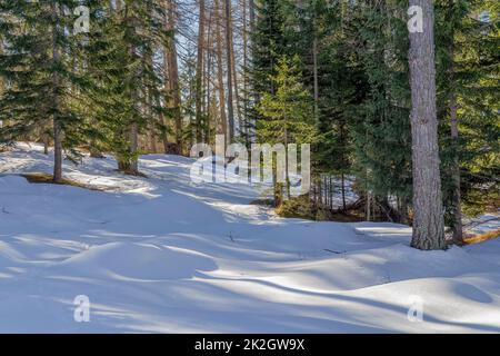 Bei Felixer Weiher Stockfoto