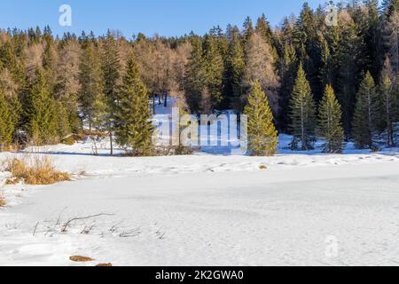 Bei Felixer Weiher Stockfoto