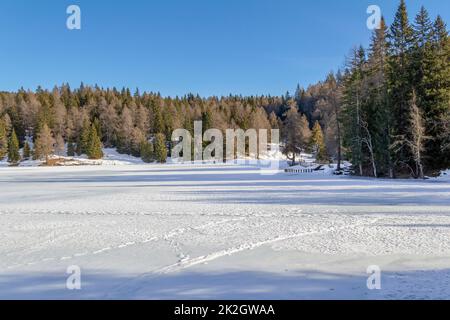 Bei Felixer Weiher Stockfoto