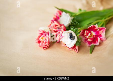 Wunderschönes rot-weißes Strauß aus Tulpen und Anemonen in Kraftpapier. Frühlings- und Blütebegriff. Mit Kopierbereich. Stockfoto