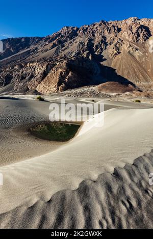 Sanddünen in Bergen Stockfoto