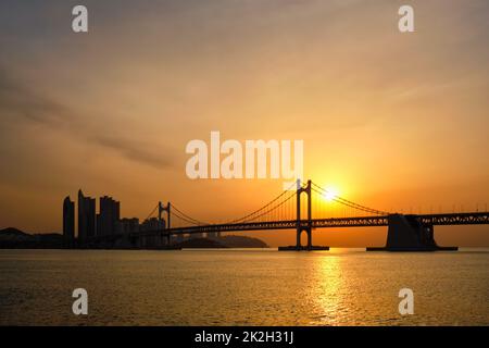 Gwangan Brücke auf den Sonnenaufgang. Busan, Südkorea Stockfoto