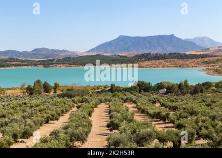 Blauer See in Zahara de la Sierra Stockfoto