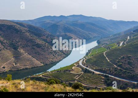 Foz Coa. Douro Stockfoto