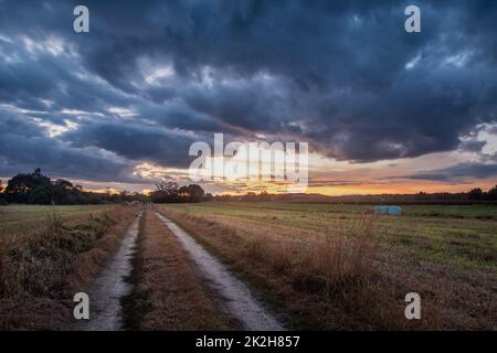 Unbefestigte Straße durch das Feld und Wolken nach Sonnenuntergang Stockfoto