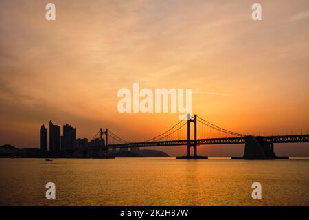 Gwangan Brücke auf den Sonnenaufgang. Busan, Südkorea Stockfoto