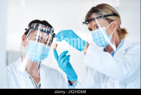 Die Funktionsweise der Welt durch die Wissenschaft verstehen. Aufnahme von zwei Wissenschaftlern, die Proben gemeinsam in einem Labor analysieren. Stockfoto